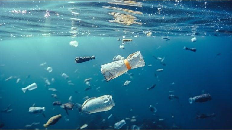NC State’s Breakthrough Microbe Targets Plastic Pollution in Oceans