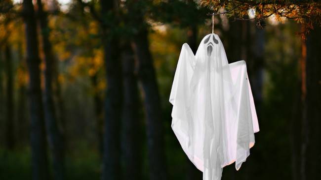 Sheet Ghost DIY Halloween Decorations