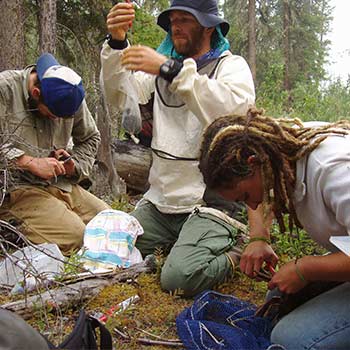 Field research assistants in a forest